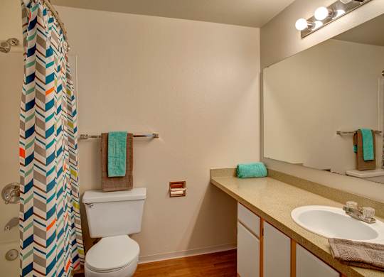 A bathroom with a toilet, sink, mirror, and shower curtain.