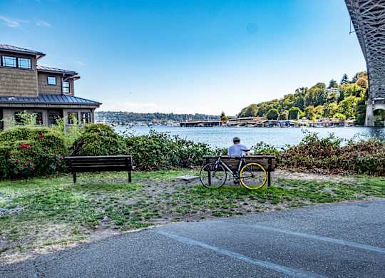 A person is riding a bicycle on a path near a bench.