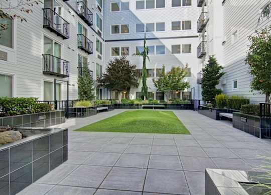 A courtyard with a grassy area surrounded by buildings.