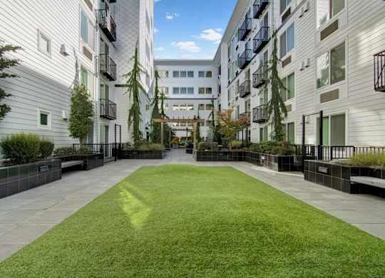A grassy courtyard is surrounded by apartment buildings.