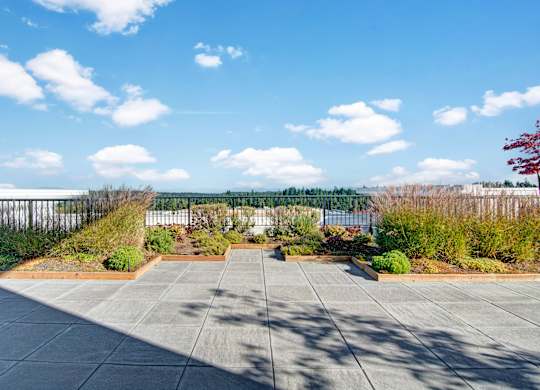 A courtyard with a grey floor and a fence in the background.