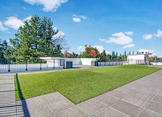 A large open area with a grassy section and a paved section with a fence in the background.