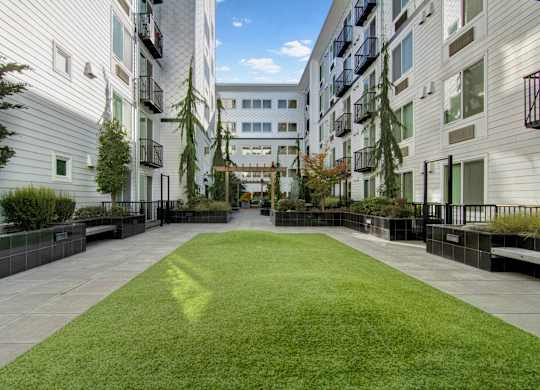 A grassy courtyard is surrounded by apartment buildings.