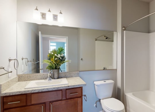 a bathroom with a sink toilet and bathtub