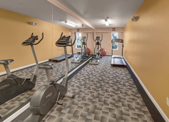 A small gym with yellow walls and checkered carpet features a treadmill, two elliptical machines, and an exercise bike. A large mirror reflects the equipment, adding depth. Natural light streams through two windows. Located at Admirals Cove Apartments.