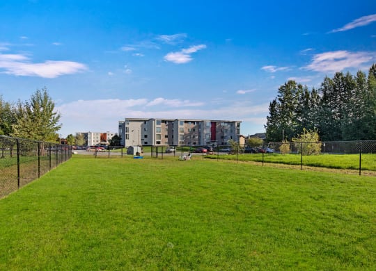 Wide grassy dog park with chain-link fences, bordered by trees on the left. The Alpine Apartments and cars in the background under a clear blue sky.