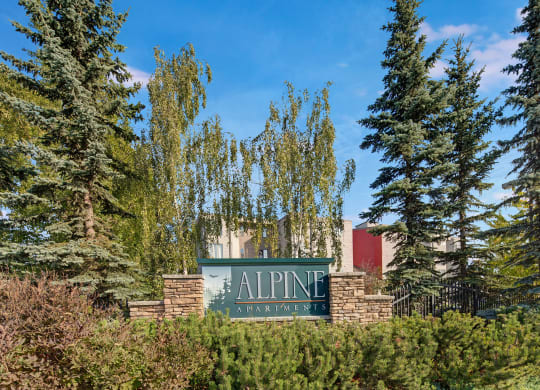 Sign for "Alpine Apartments" nestled among tall pine trees and shrubs against a clear blue sky, conveys a peaceful and welcoming atmosphere.