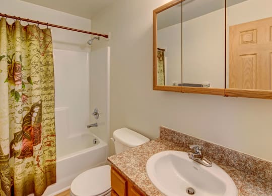 Small bathroom with a textured countertop, a white sink, and a mirrored cabinet. A shower with a floral and butterfly curtain adds a warm touch. Amber Ridge Apartments.