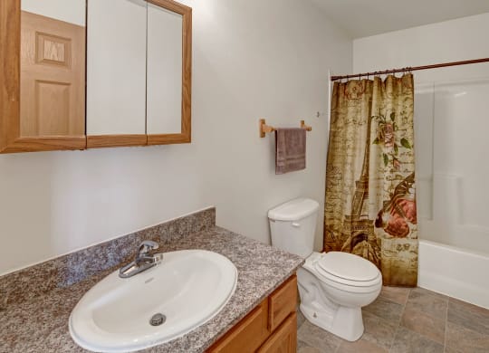 A clean, spacious bathroom with beige walls and tiled floor. Features a granite countertop with sink, wooden cabinet, patterned shower curtain, and toilet. Amber Ridge Apartments.