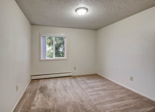 Empty bedroom with white walls, beige carpet, and a small window showing greenery outside. Ceiling light provides a neutral, clean atmosphere. Arctic Sun Apartments.