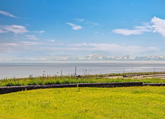 Bay Arms Apartments - Views