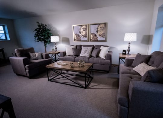 Birchwood Homes Apartments - Living Room