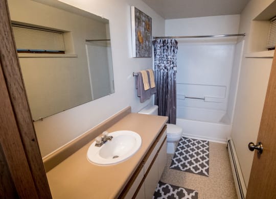 A small bathroom here at Birchwood Homes Apartments with a sink and beige countertop, a large mirror, gray patterned rugs, and a shower with a gray curtain. The atmosphere is clean and orderly.