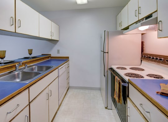 Chugach South Apartments - Kitchen