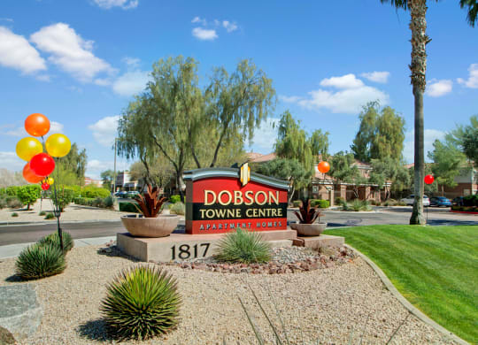 Sign for Dobson Towne Centre Apartment Homes surrounded by desert landscaping, balloons, and palm trees under a clear blue sky.
