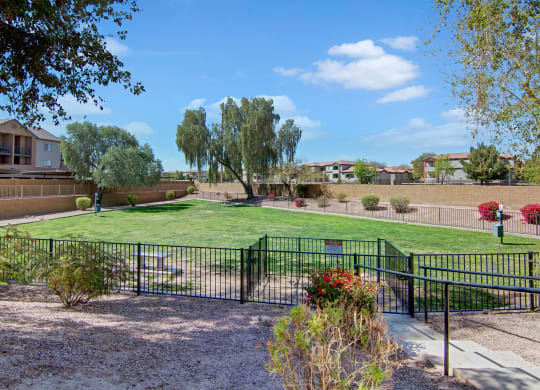 Fenced grassy park area here at Pala Mesa Apartments with trees and surrounded by residential buildings. Bright sky and scattered clouds convey a peaceful, sunny atmosphere.