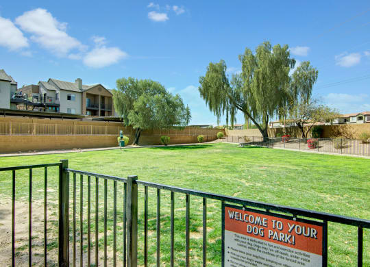 Sunny dog park here at Pala Mesa Apartments with green grass, black metal fence, and a welcoming sign. Trees and apartment buildings in the background, under a blue sky.