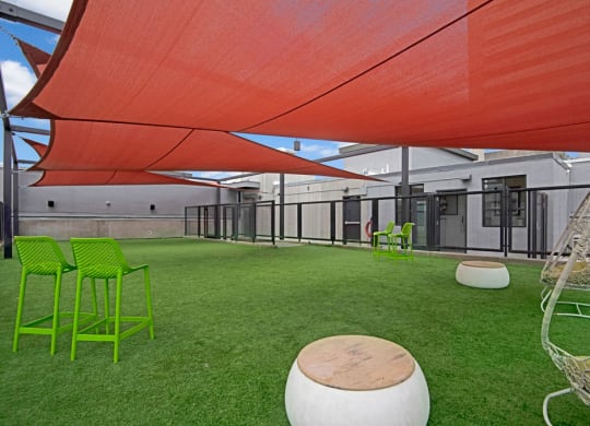 Park on Central Pet Play Area
