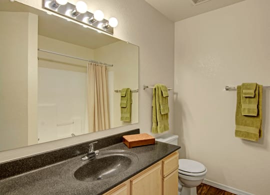 Reserve at Arrowhead Bathroom