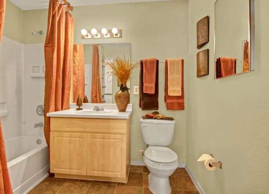 Retreat at Speedway Bathroom