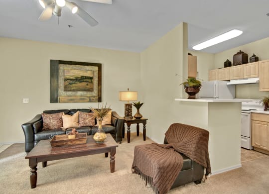 Retreat at Speedway Living Room