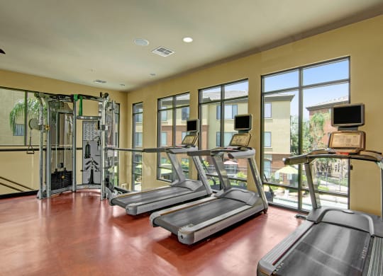 Visions Gym