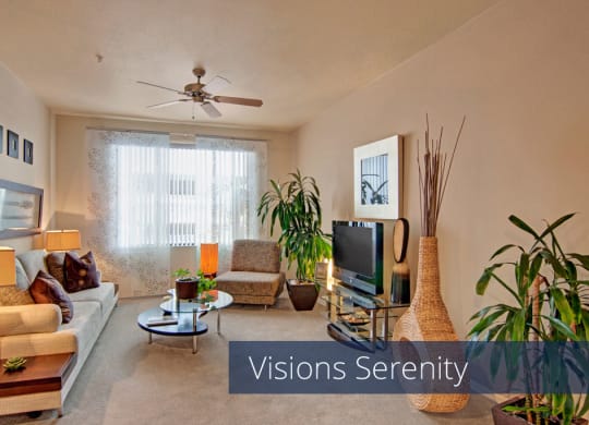 Visions Living Room