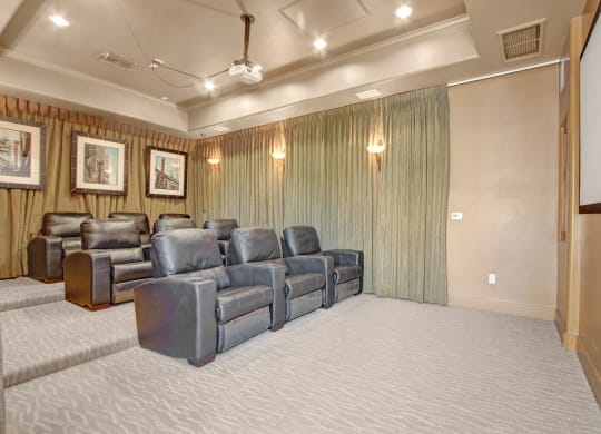 Rancho Belago Theater Room