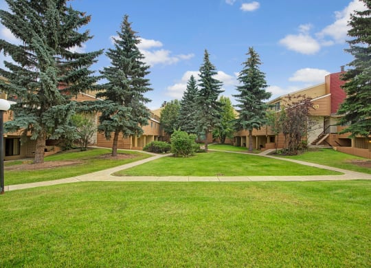 Green courtyard here at Lakewood Heights Apartment Homes with lush grass, surrounded by tall pine trees and two-story beige buildings. A clear blue sky and pathways create a serene atmosphere.
