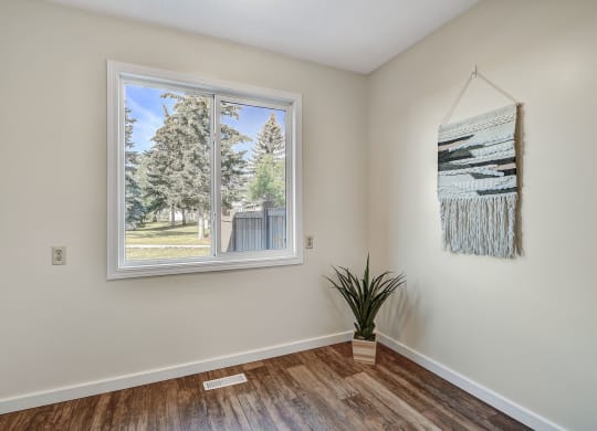 a bedroom with a large window and a plant on the floor