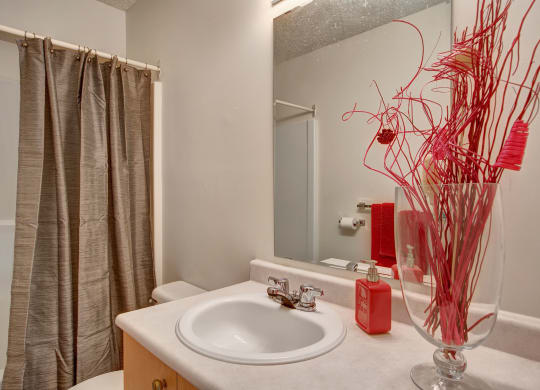 Small bathroom here at Villagio Apartment Homes with gray shower curtain, white sink and countertop. Red soap dispenser and decorative red twigs in vase add a pop of color.