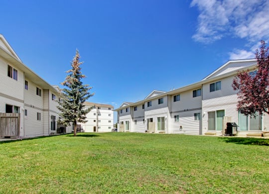 Spacious grassy courtyard here at Westhaven Estates Apartment Homes flanked by two-story white apartment buildings under a clear blue sky. Centered are tall trees, creating a serene atmosphere.