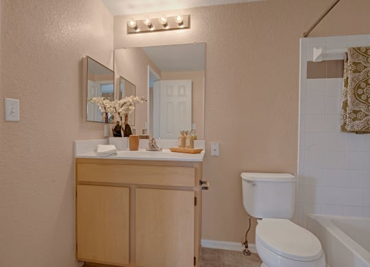 Camelback Pointe Bathroom Sink & Bathtub Apartments in Colorado Springs, CO