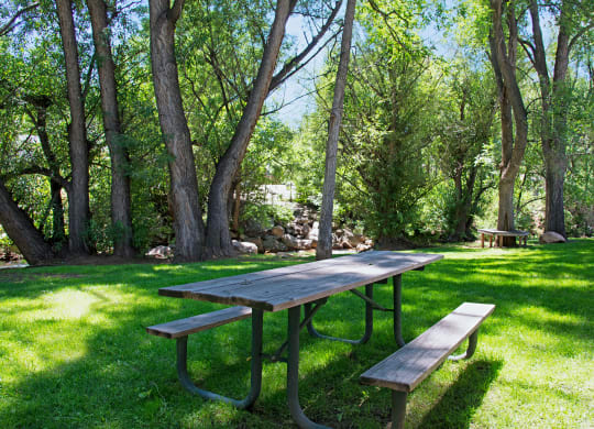 A wooden picnic table sits on a sunny, green lawn near Cheyenne Creek Apartment Homes surrounded by tall trees. Dappled light creates a tranquil, inviting outdoor scene in a forest setting.