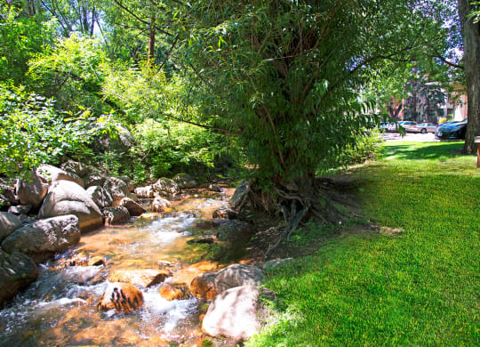 A tranquil scene near Cheyenne Creek Apartment Homes with a clear stream flowing over rocks shaded by leafy trees, set beside a green grassy area, evoking a serene and peaceful atmosphere.