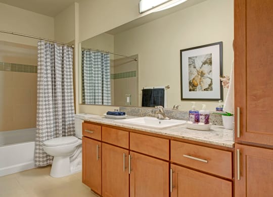 Elements at Briargate Bathroom Apartments in Colorado Springs, CO