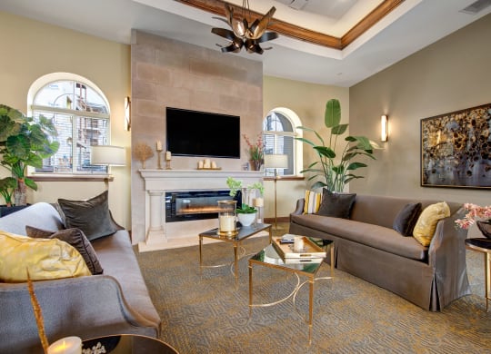 La Bella Vita Lounge Sofas Apartments in Colorado Springs, CO