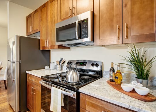 La Bella Vita Stainless Steel Appliances Apartments in Colorado Springs, CO