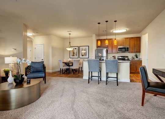 La Bella Vita Living Room Full View Apartments in Colorado Springs, CO