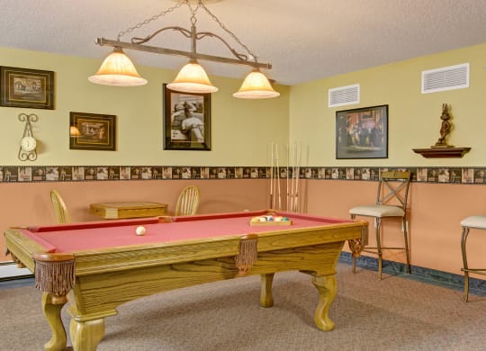 Heritage Park Pool Table