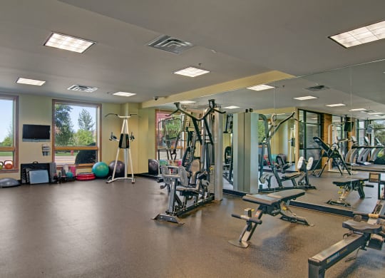 The Mist Fitness Room