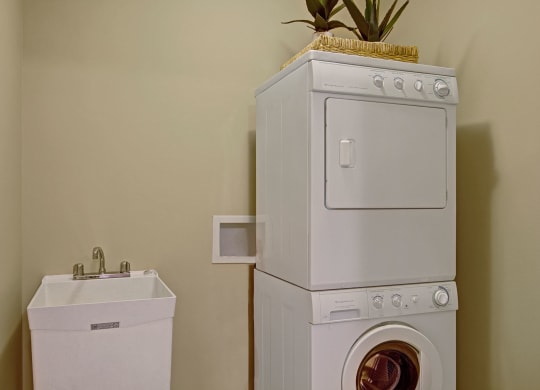 The Mist Laundry Room