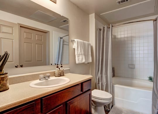 Aviare Arts Bathroom
