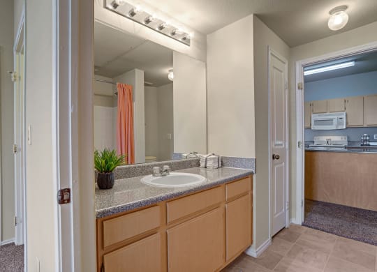 Memorial Creek Bathroom