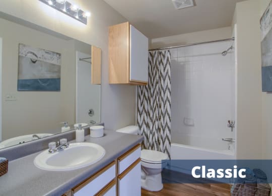 Villas at Countryside Classic Bathroom