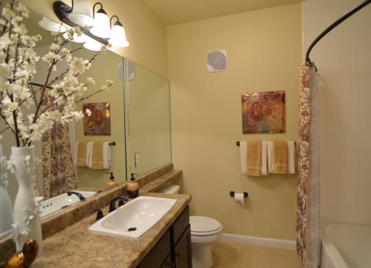 Andalucia Villas Bathroom with Granite Countertops Apartments near Midland, Texas