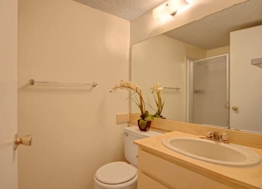 Fairgreen Bathroom Odessa, Texas Apartment