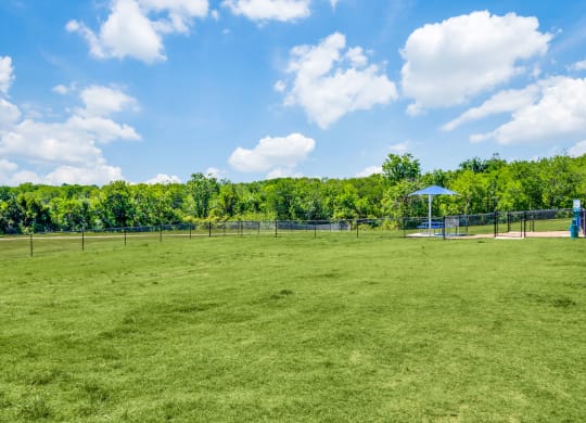 Harmony Luxury Green Space Apartment near Dallas Fort Worth