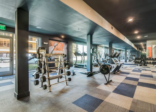 Harmony Luxury Gym Apartments for rent Rowlett, TX 75089