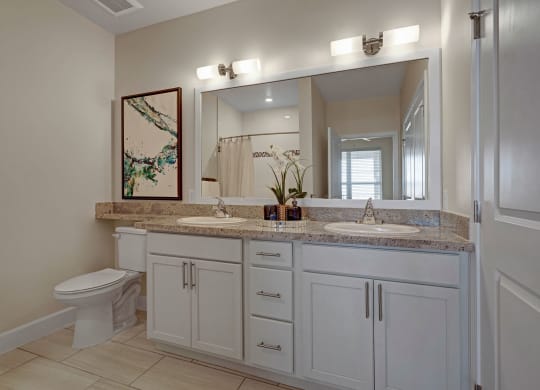 Latitude 31 Bathroom with Granite Countertops Apartment for rent in Odessa, TX